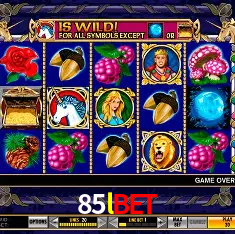 Descubra o Mundo do Cassino Online com 85lbet